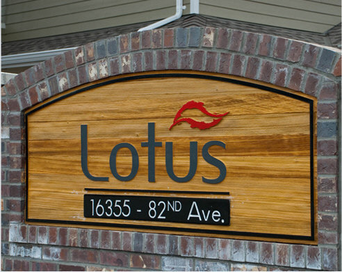 Photo 2 Lotus photo 2
