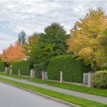 Photo 4 Summerwood photo 4