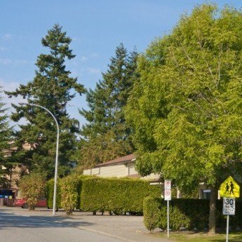 Suncreek Estates photo 10