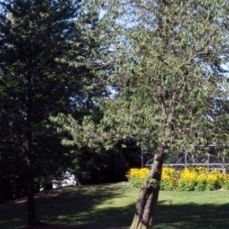 Photo 2 Alderwood Manor photo 2