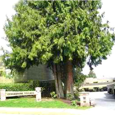 Cedarbrook photo 2