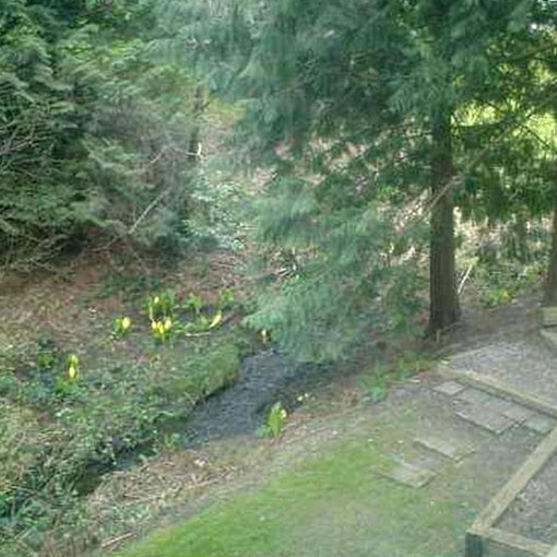 Cedarbrook photo 3