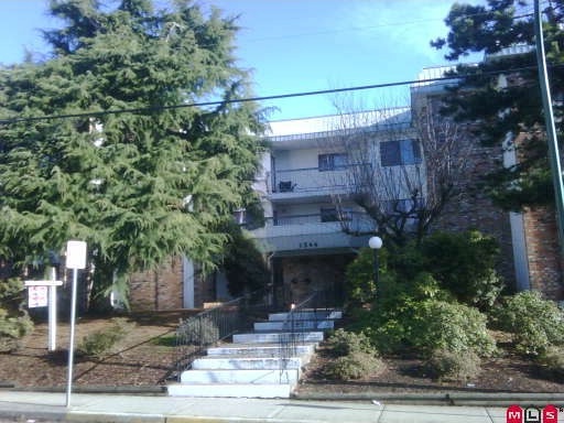 Juniper Arms