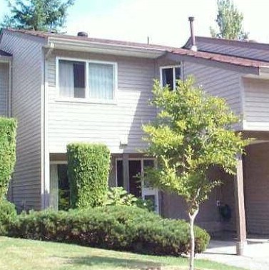 The Village At Surrey Place