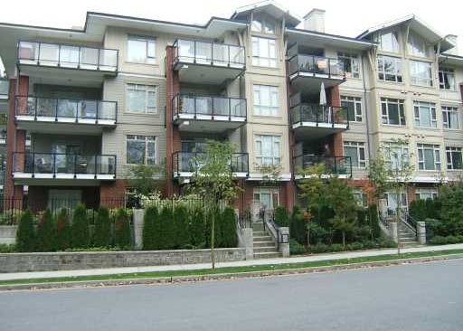 Suter Brook