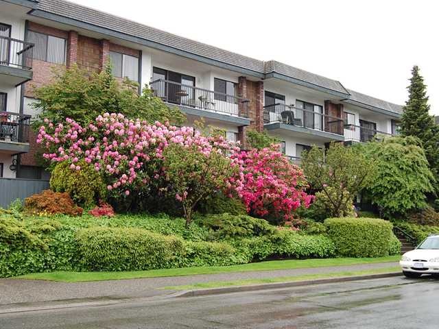 Terrace Heights