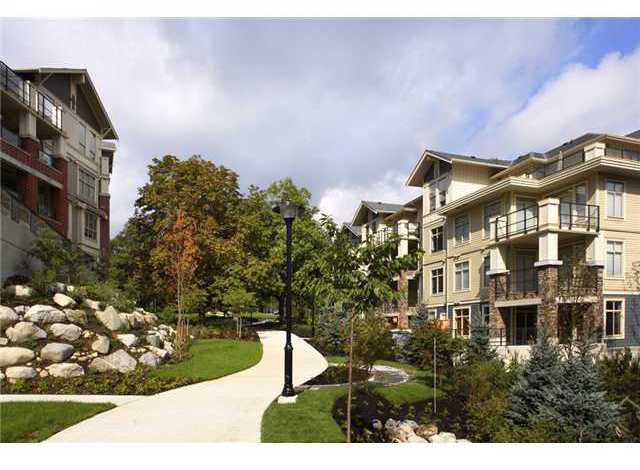 Grove At Victoria Hill