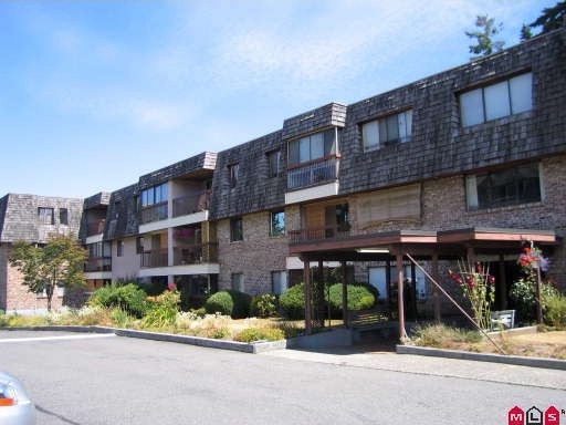 Fir Villa