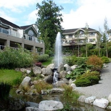 Cedar Springs
