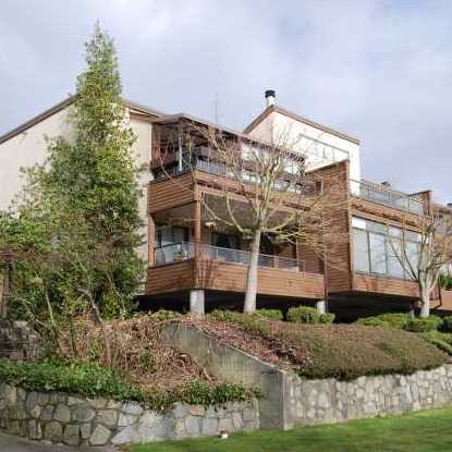 Custer Court photo 3
