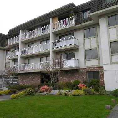 Photo 3 — click to view La Viva Place photo 3
