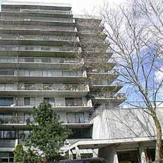 Lions Gate Plaza photo 4