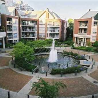 Tiffany Shores photo 2