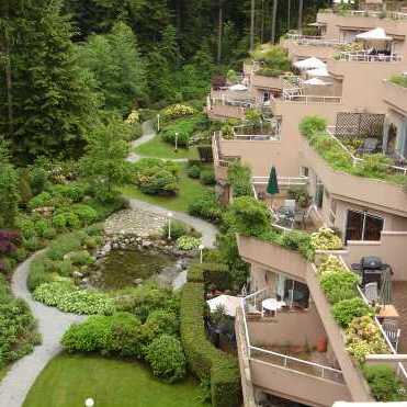 Mountain Terrace photo 7