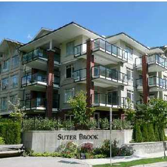 Suter Brook photo 2