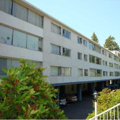 Seaview Gardens photo 5