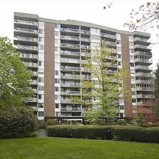 Hollyburn photo 23
