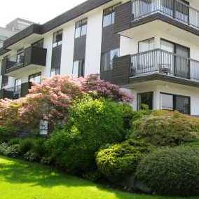 Mountain View Apartments photo 2
