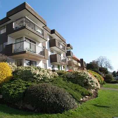 Mountain View Apartments photo 5