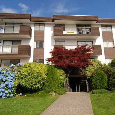 Mountain View Apartments photo 4