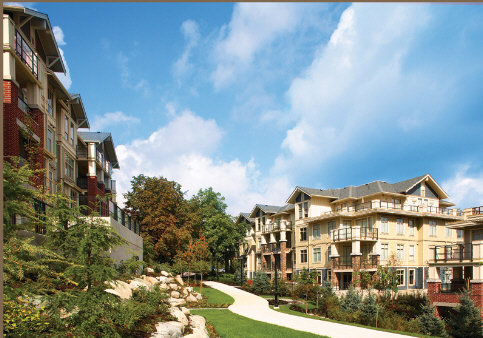 The Grove