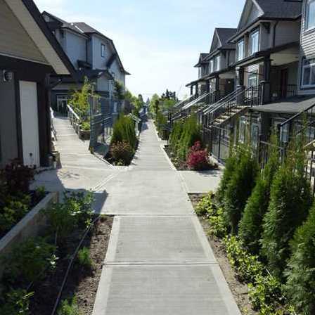 Kingsgate Gardens photo 7