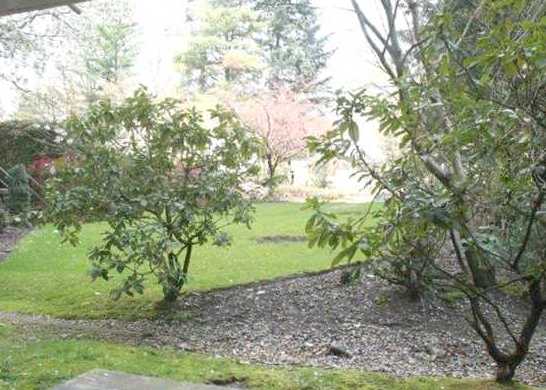 Vantage Point Ii photo 8