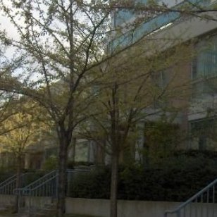 The Buchanan