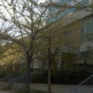 The Buchanan
