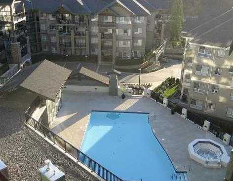 Sandlewood photo 6