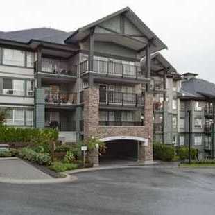Sandlewood photo 11