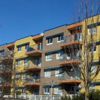 The Heights