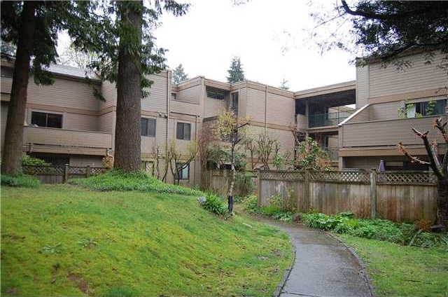 Mountainwood