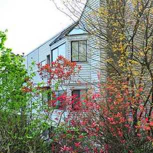 Photo 6 Brookside Park photo 6