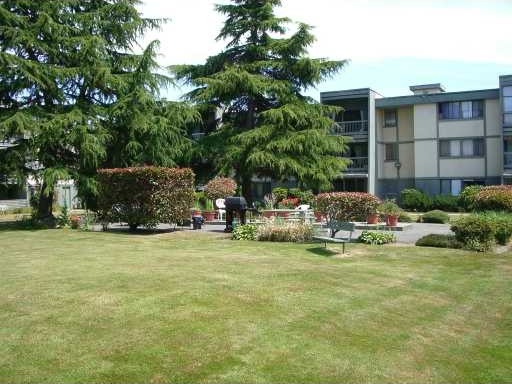 Dolphin Court