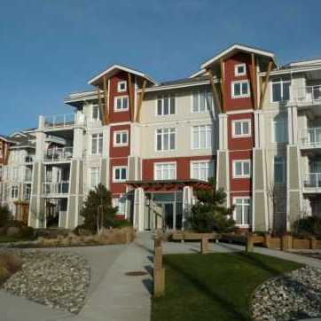 The Village photo 2