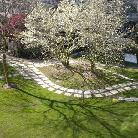 The Hamptons photo 6