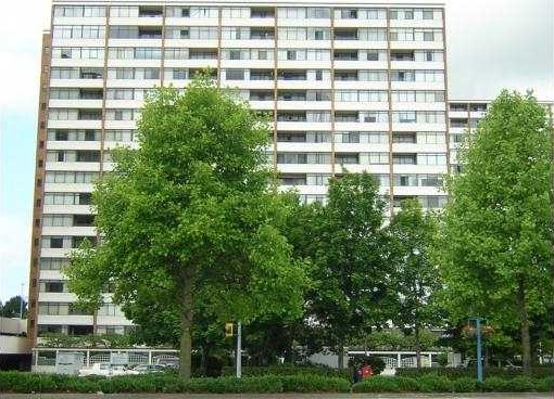 Regency Park Towers