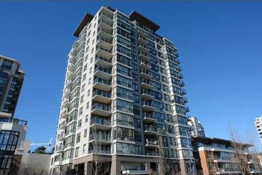 Photo 1 Perla photo 1