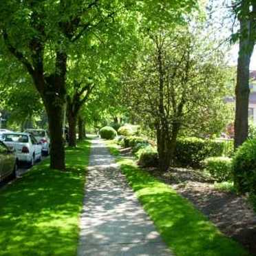Photo 7 Cameray Gardens photo 7