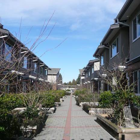 Cranberry Court