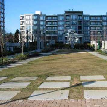 Arcadia photo 4