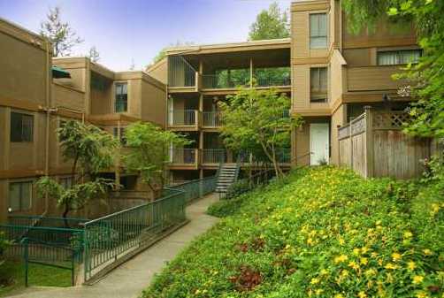 Mountainwood