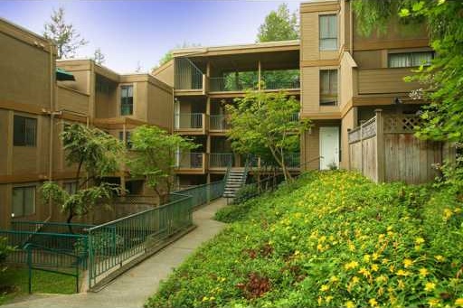 Mountainwood