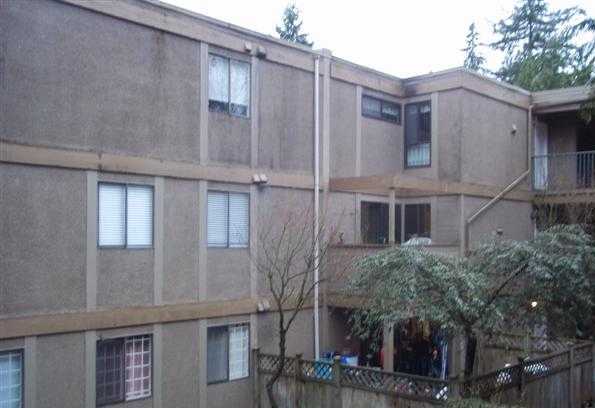 Mountainwood