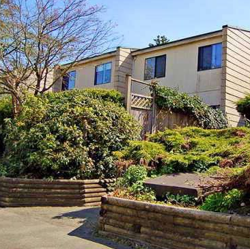 Guilford Mews