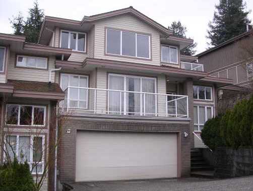 Deer Lake View