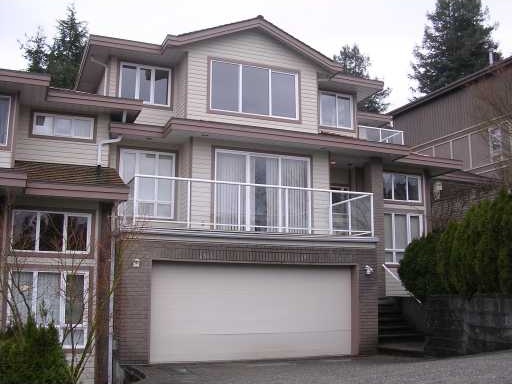 Deer Lake View