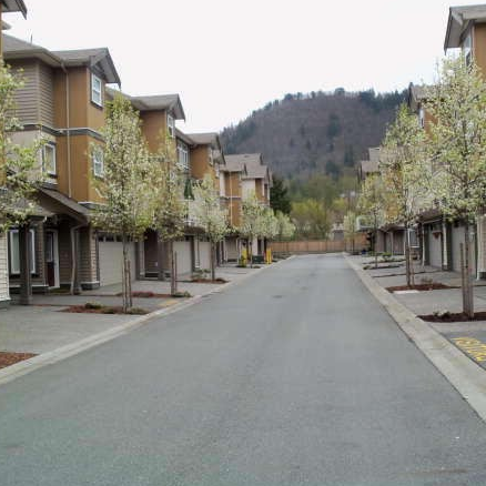 Wisteria Heights photo 2