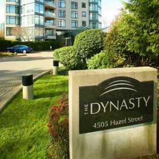 Dynasty photo 8